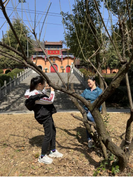 1646730972802585.png image.png